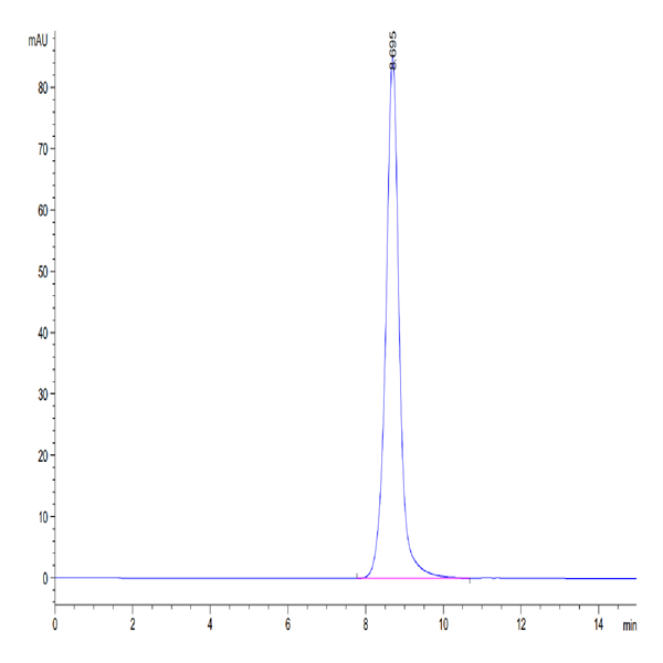 Mouse DDR1 Protein (DDR-MM1R1)