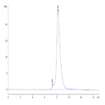 Mouse DDR2 Protein (DDR-MM1R2)