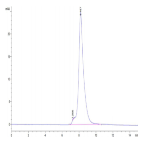 Mouse DDR2 Protein (DDR-MM1R2)
