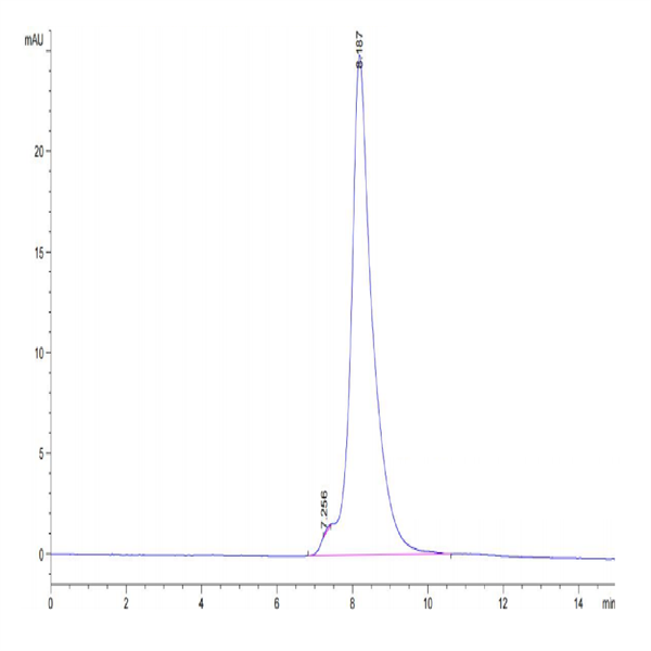 Mouse DDR2 Protein (DDR-MM1R2) Mouse DDR2 Protein (DDR-MM1R2)