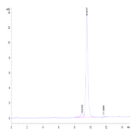 Canine DDT Proten (DDT-DE101)