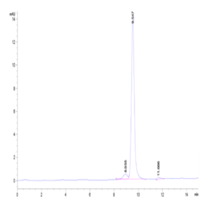 Canine DDT Proten (DDT-DE101)