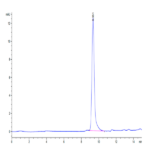 Human DDT Protein (DDT-HE101)