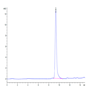 Human DDT Protein (DDT-HE101)