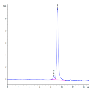 Mouse DDT Protein (DDT-ME101)