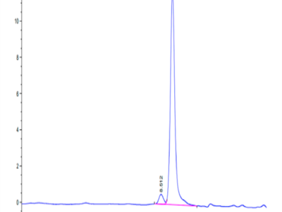 Mouse DDT Protein (DDT-ME101)