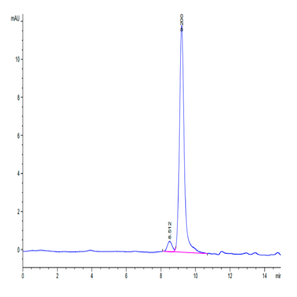 Mouse DDT Protein (DDT-ME101) Mouse DDT Protein (DDT-ME101)