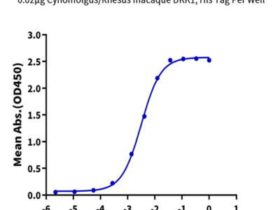 Cynomolgus/Rhesus macaque DKK1 Protein (DKK-CM101)