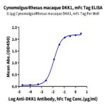 Cynomolgus/Rhesus macaque DKK1 Protein (DKK-CM301)