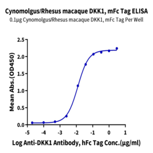 Cynomolgus/Rhesus macaque DKK1 Protein (DKK-CM301)
