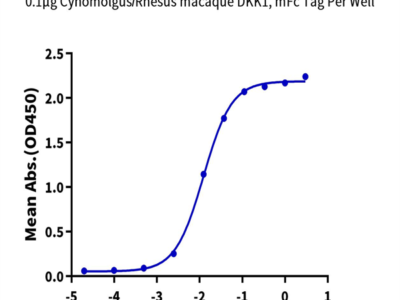 Cynomolgus/Rhesus macaque DKK1 Protein (DKK-CM301)