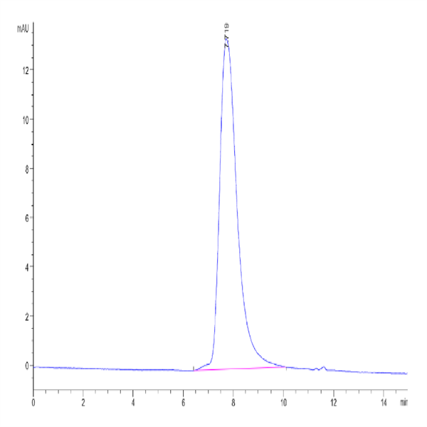Cynomolgus/Rhesus macaque DKK1 Protein (DKK-CM301)