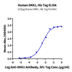 Human DKK1 Protein (DKK-HM101)