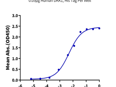 Human DKK1 Protein (DKK-HM101)