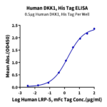 Human DKK1 Protein (DKK-HM101)
