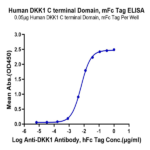 Human DKK1 C terminal Domain Protein (DKK-HM31C)