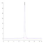 Human DKK1 N terminal Domain Protein (DKK-HM31N)