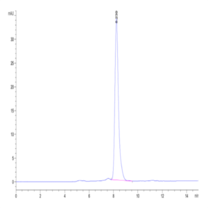 Human DKK1 N terminal Domain Protein (DKK-HM31N)