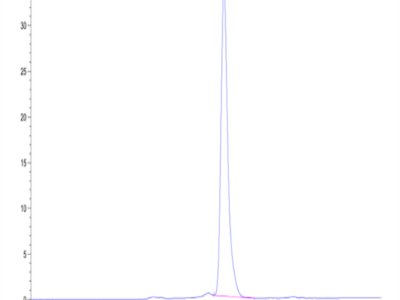 Human DKK1 N terminal Domain Protein (DKK-HM31N)