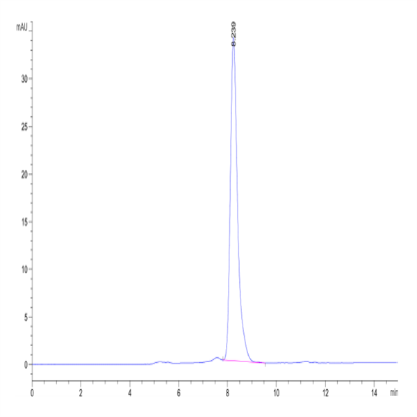 Human DKK1 N terminal Domain Protein (DKK-HM31N) Human DKK1 N terminal Domain Protein (DKK-HM31N)