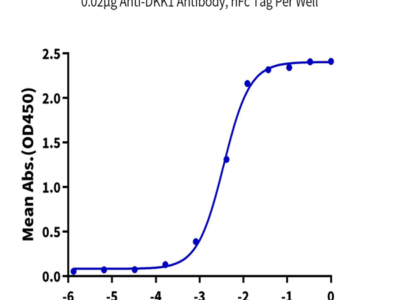 Biotinylated Human DKK1 Protein (DKK-HM401B)