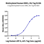 Biotinylated Human DKK1 Protein (DKK-HM401B)