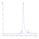 Biotinylated Human DKK1 Protein (DKK-HM401B)
