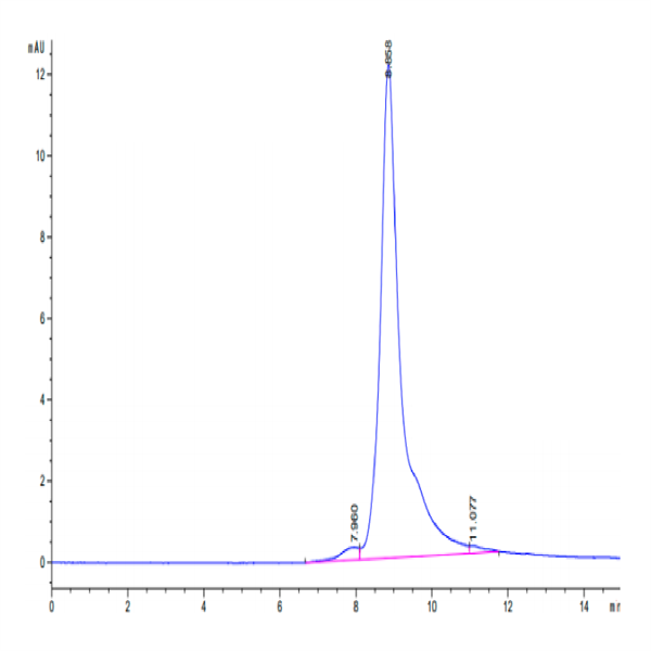 Biotinylated Human DKK1 Protein (DKK-HM401B)