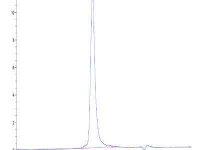 Biotinylated Human DKK3 Protein (DKK-HM403B)