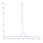 Human DKK1 N terminal Domain Protein (DKK-HM50N)