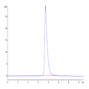 Human DKK1 N terminal Domain Protein (DKK-HM50N)