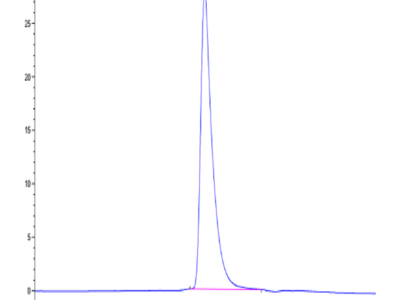 Human DKK1 N terminal Domain Protein (DKK-HM50N)