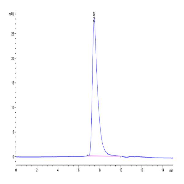 Human DKK1 N terminal Domain Protein (DKK-HM50N) Human DKK1 N terminal Domain Protein (DKK-HM50N)