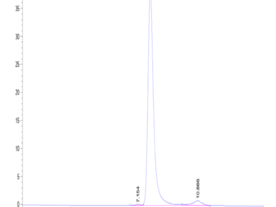 Biotinylated Human DKK1 N terminal Domain Protein (DKK-HM50NB)