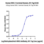 Human DKK1 C terminal Domain Protein (DKK-HM51C)