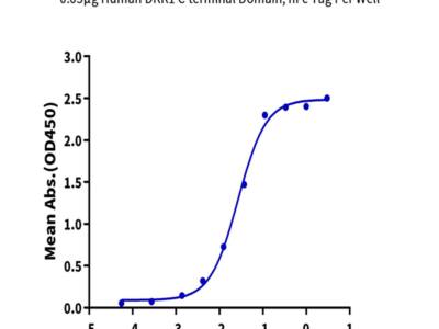 Human DKK1 C terminal Domain Protein (DKK-HM51C)