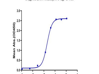 Biotinylated Human DKK1 C terminal Domain Protein (DKK-HM51CB)