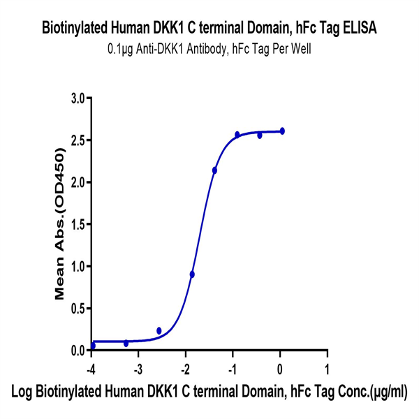 Biotinylated Human DKK1 C terminal Domain Protein (DKK-HM51CB) Biotinylated Human DKK1 C terminal Domain Protein (DKK-HM51CB)