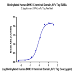 Biotinylated Human DKK1 C terminal Domain Protein (DKK-HM51CB)