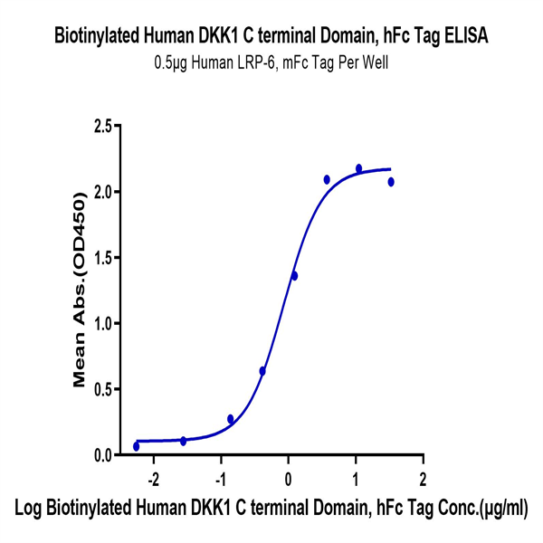 Biotinylated Human DKK1 C terminal Domain Protein (DKK-HM51CB)