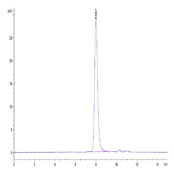 Human DLK1 Protein (DLK-HM101) Human DLK1 Protein (DLK-HM101)