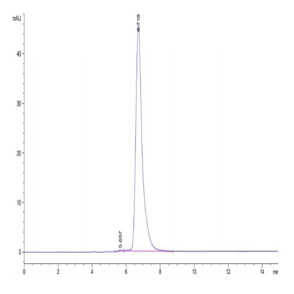Human DLK1 Protein (DLK-HM201) Human DLK1 Protein (DLK-HM201)
