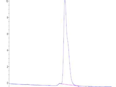 Mouse DLK1 Protein (DLK-MM101)