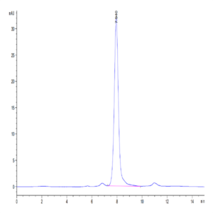 Human DLL1/Delta1 Protein (DLL-HM101)