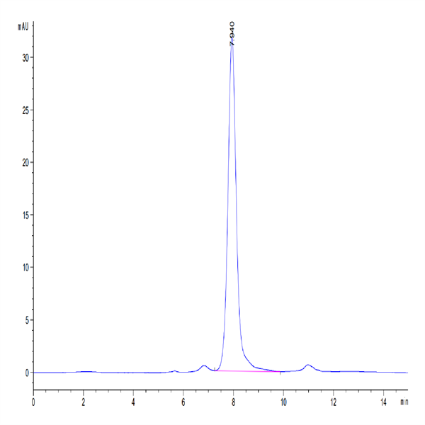 Human DLL1/Delta1 Protein (DLL-HM101) Human DLL1/Delta1 Protein (DLL-HM101)