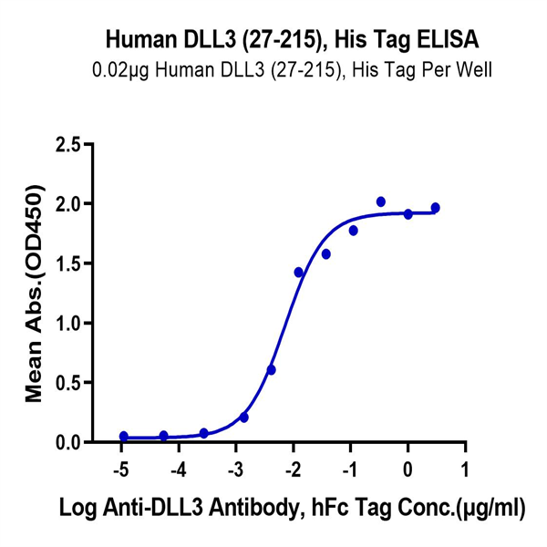 Human DLL3 (27-215) Protein (DLL-HM13D) Human DLL3 (27-215) Protein (DLL-HM13D)