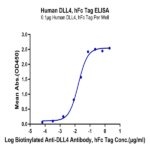 Human DLL4 Protein (DLL-HM204)