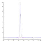 Human DLL4 Protein (DLL-HM204)