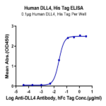 Human DLL4 Protein (DLL-HM404)