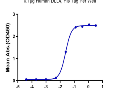 Human DLL4 Protein (DLL-HM404)